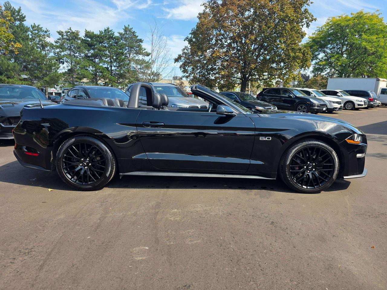 2021 Ford Mustang GT Convertible / Manual / Performance Package Photo
