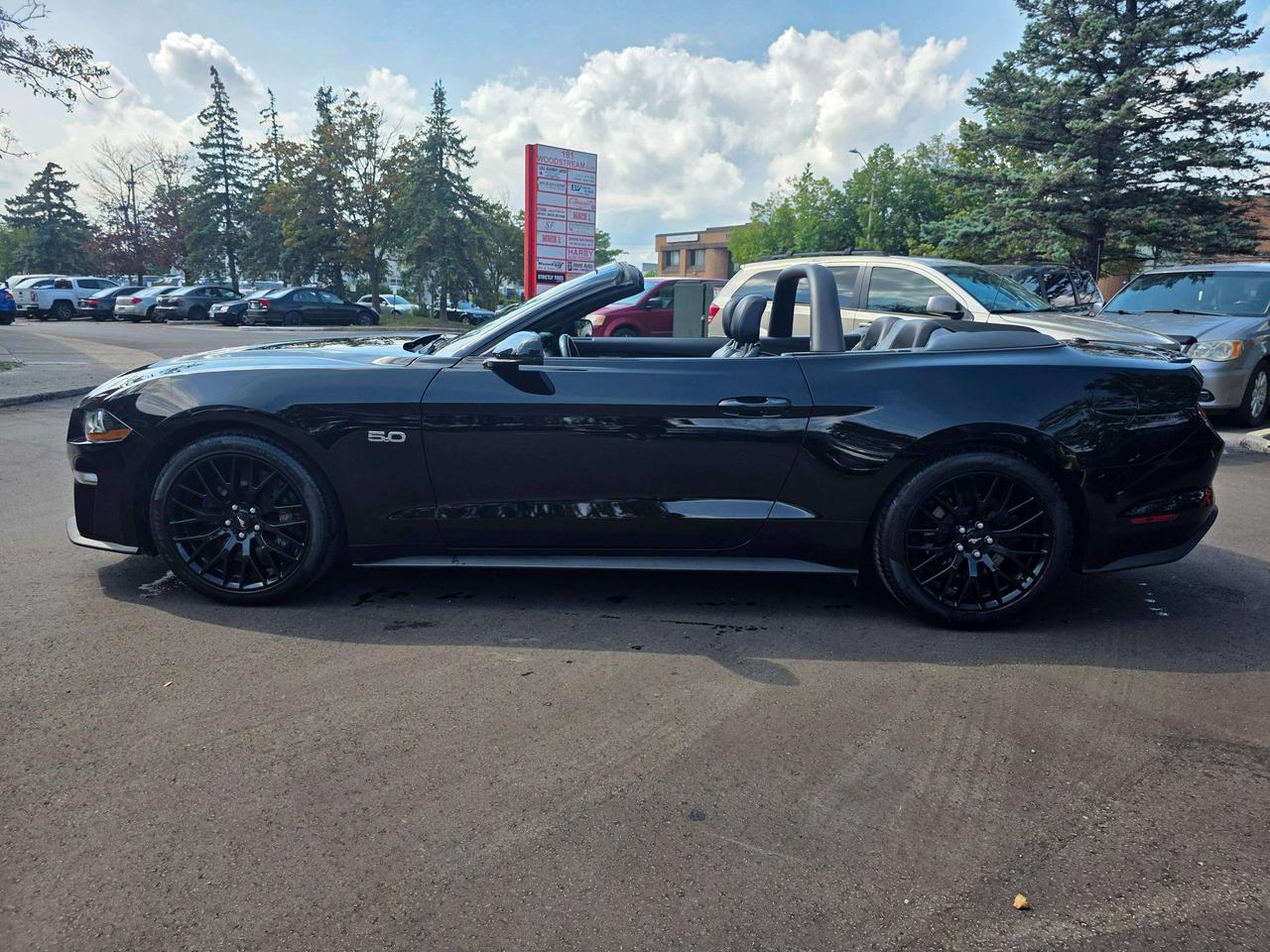 2021 Ford Mustang GT Convertible / Manual / Performance Package Photo
