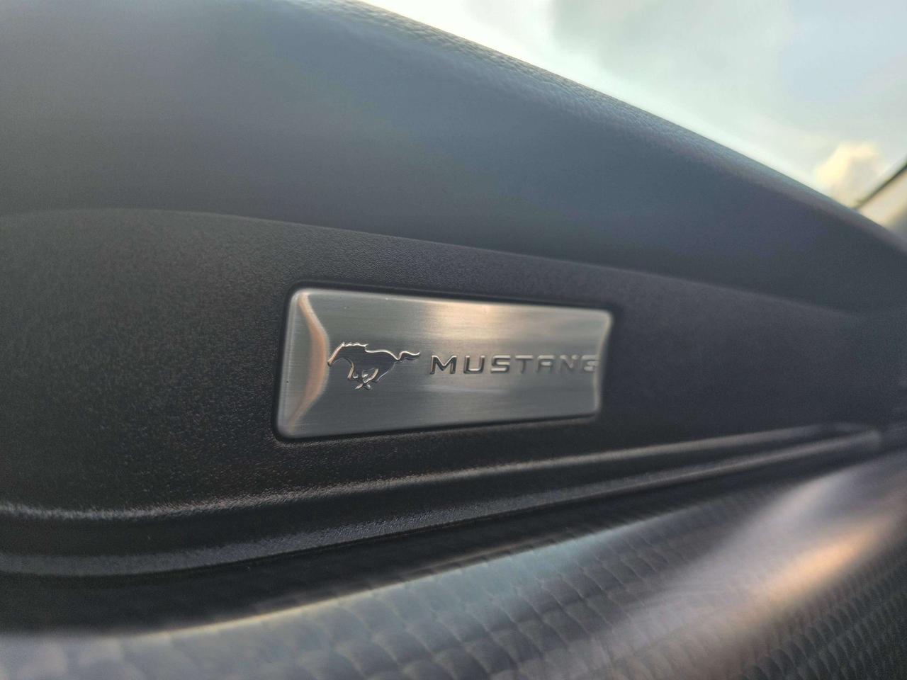 2021 Ford Mustang GT Convertible / Manual / Performance Package Photo