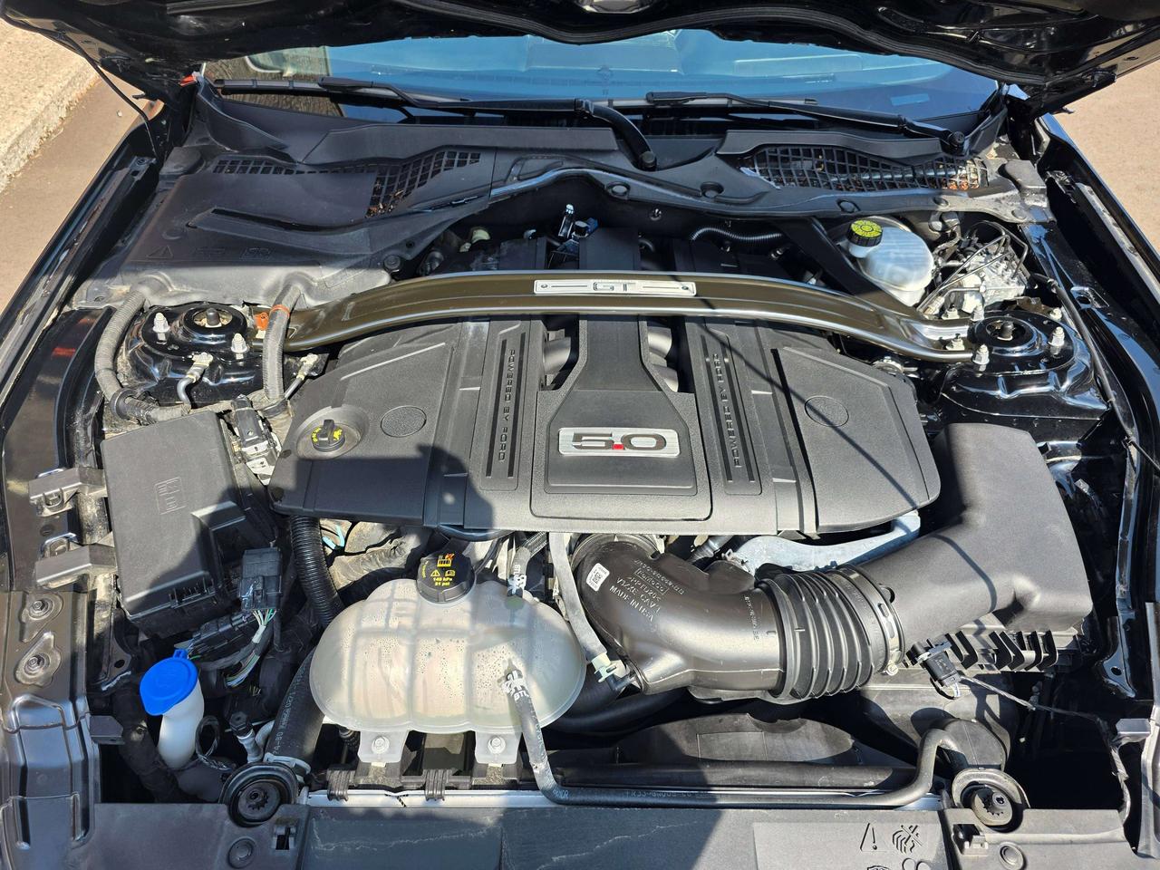 2021 Ford Mustang GT Convertible / Manual / Performance Package Photo