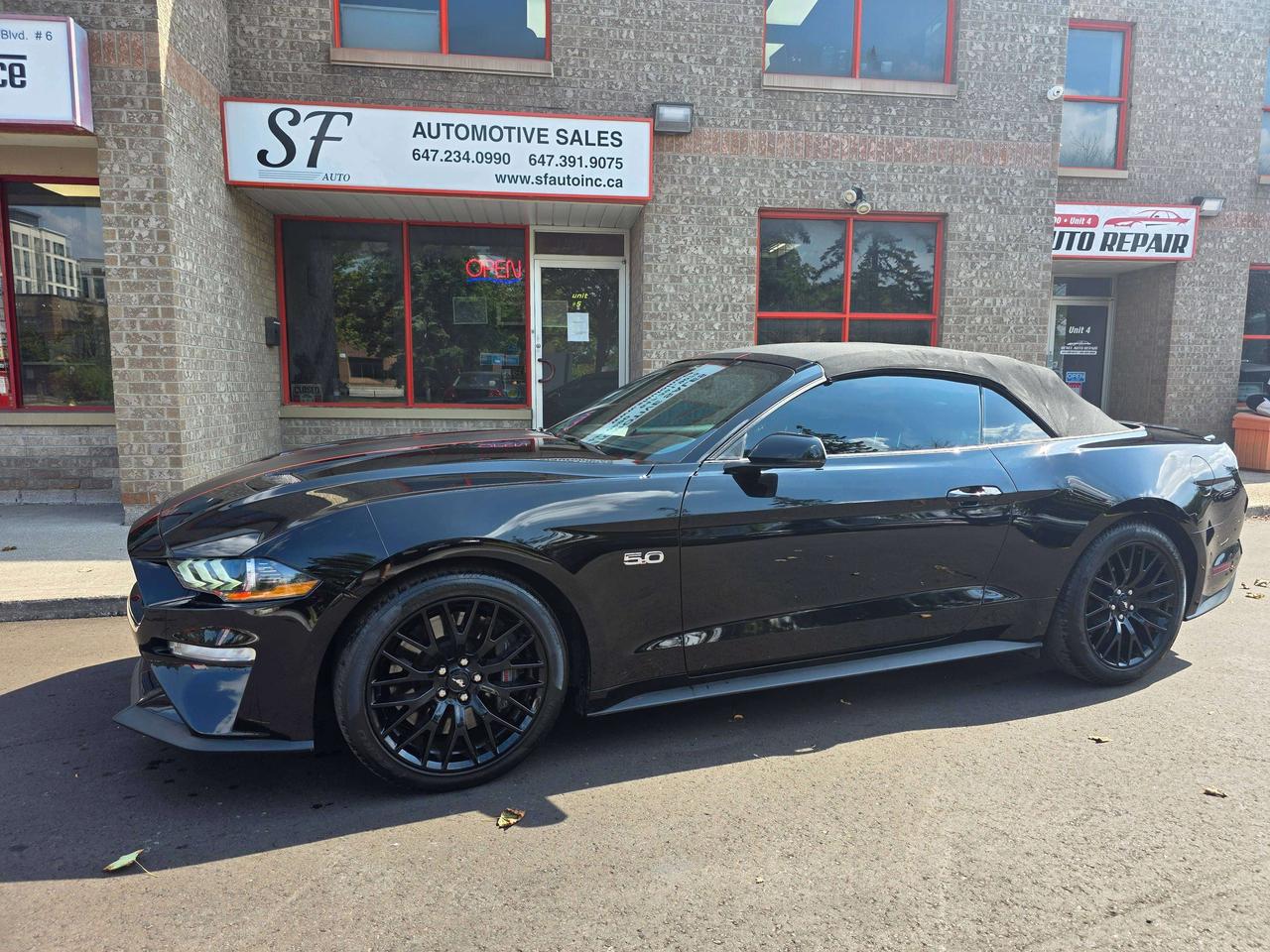 2021 Ford Mustang GT Convertible / Manual / Performance Package Photo