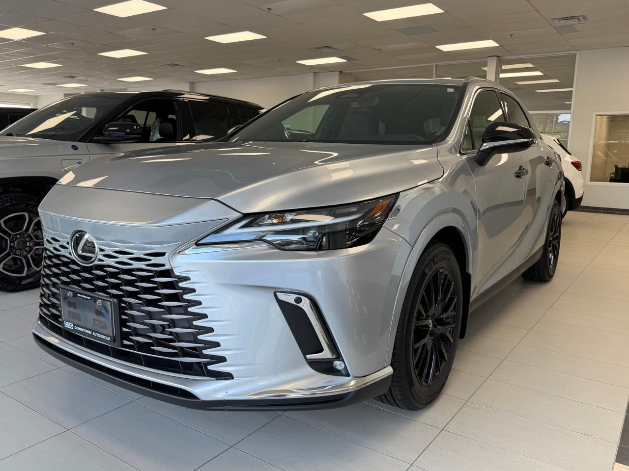 2025 Lexus RX RX 350 Auto Photo0