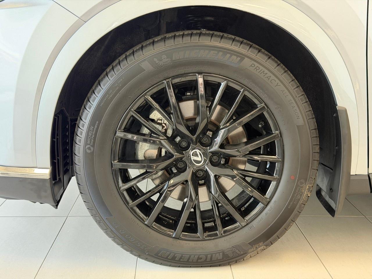 2025 Lexus RX RX 350 Auto Photo