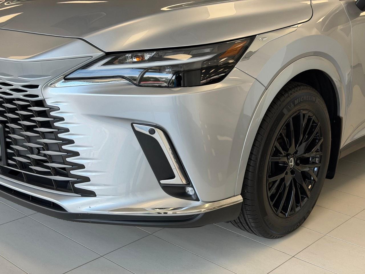 2025 Lexus RX RX 350 Auto Photo