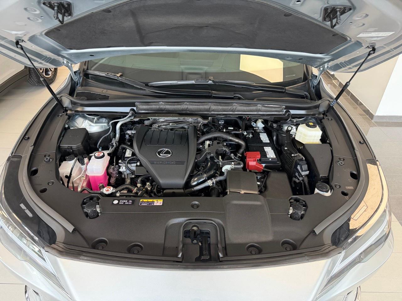 2025 Lexus RX RX 350 Auto Photo
