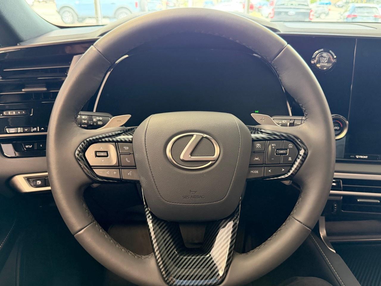 2025 Lexus RX RX 350 Auto Photo