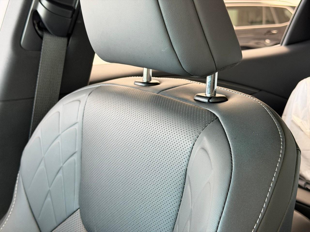 2025 Lexus RX RX 350 Auto Photo