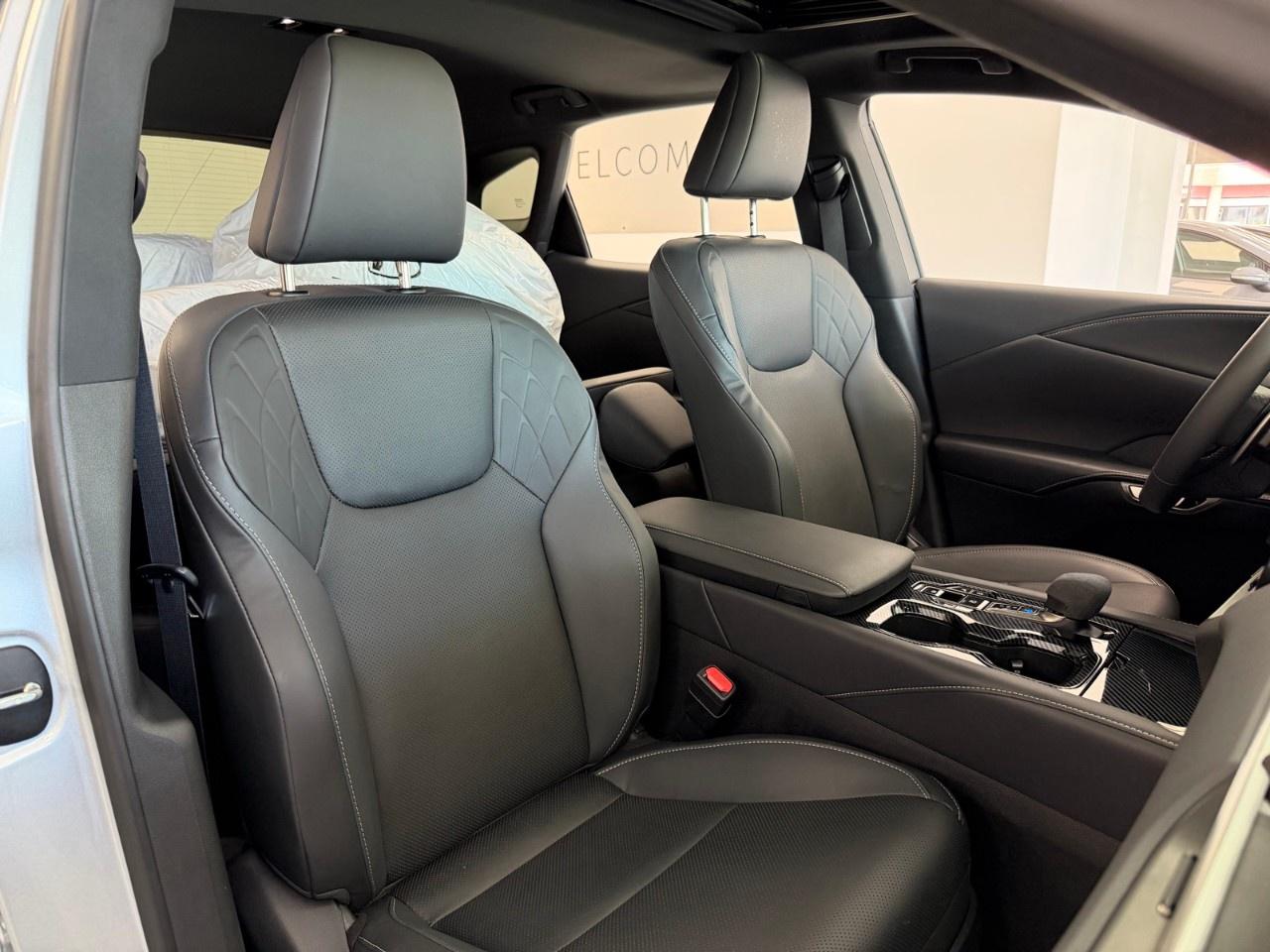 2025 Lexus RX RX 350 Auto Photo