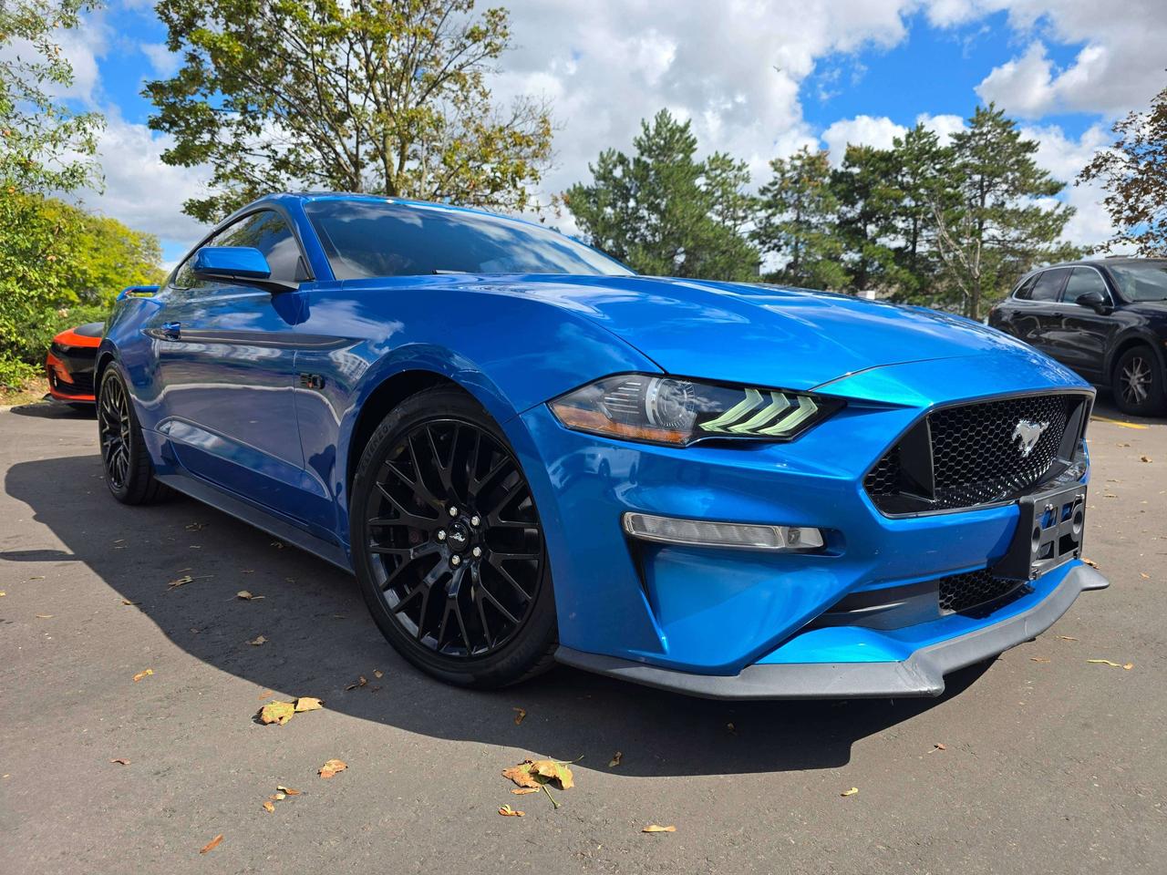 2019 Ford Mustang Performance Pack / Manual / No Accidents Photo