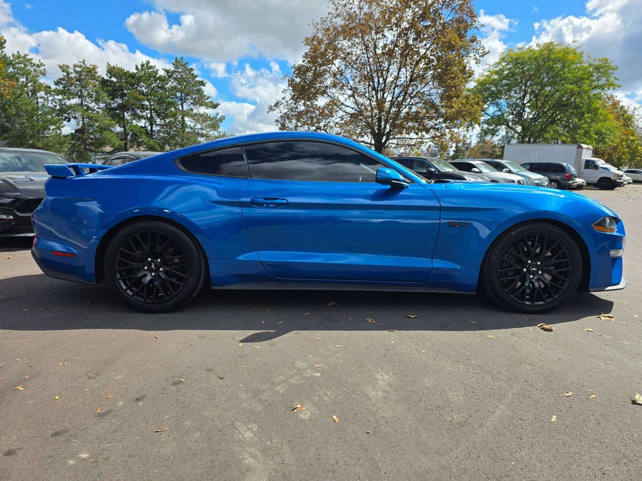 2019 Ford Mustang Performance Pack / Manual / No Accidents Photo