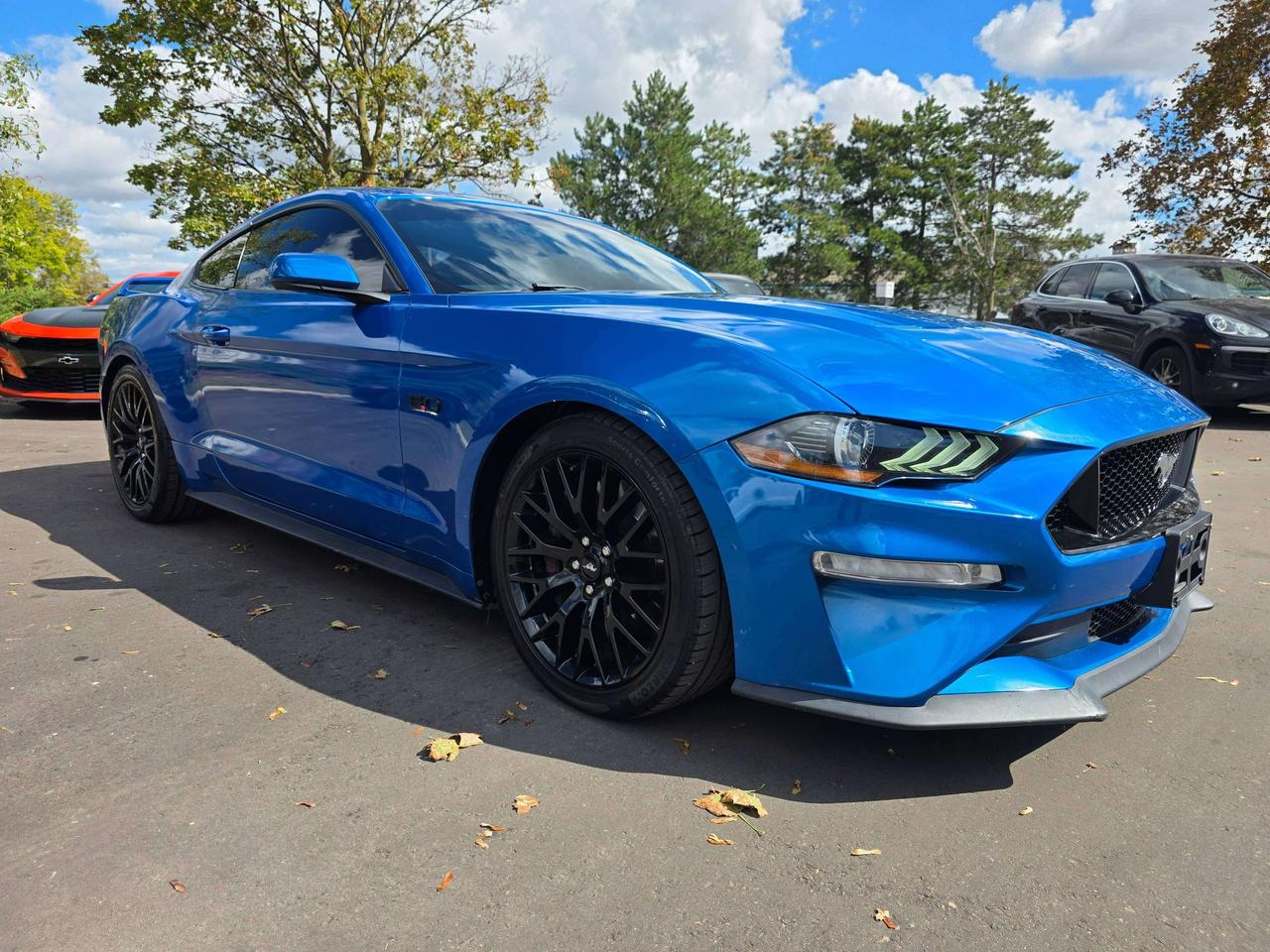 2019 Ford Mustang Performance Pack / Manual / No Accidents Photo5