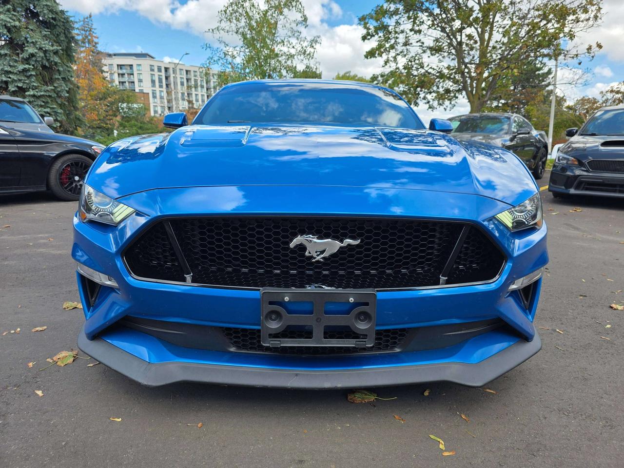 2019 Ford Mustang Performance Pack / Manual / No Accidents Photo