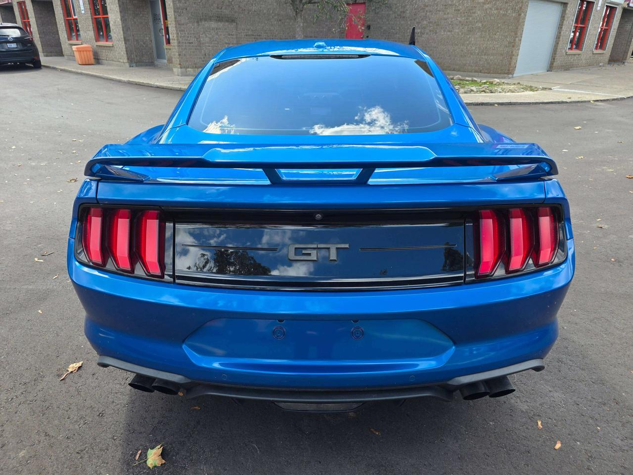 2019 Ford Mustang Performance Pack / Manual / No Accidents Photo