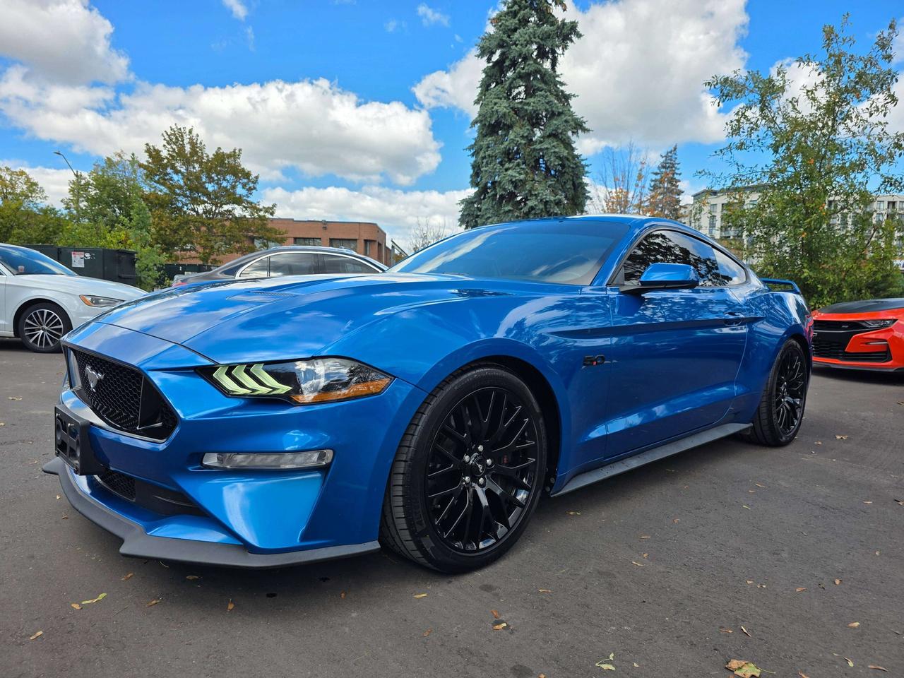 2019 Ford Mustang Performance Pack / Manual / No Accidents Photo