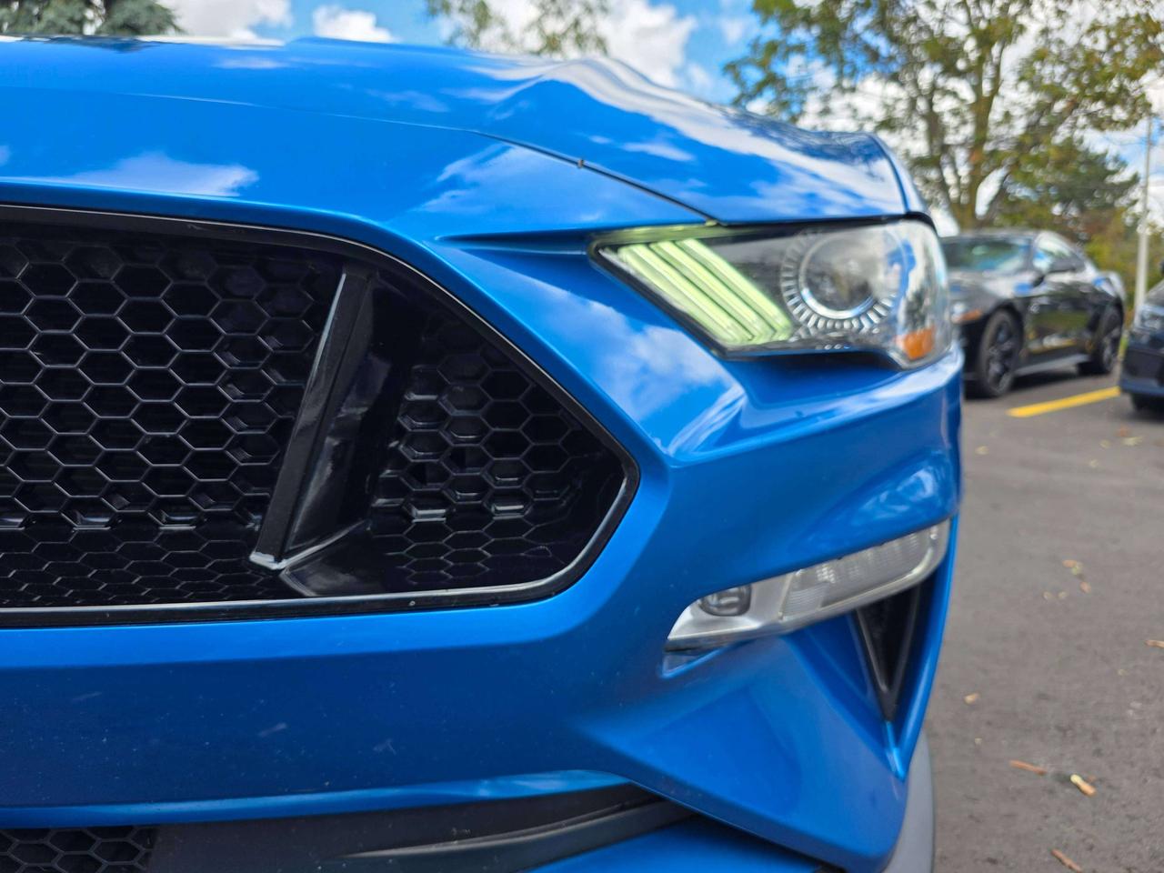 2019 Ford Mustang Performance Pack / Manual / No Accidents Photo