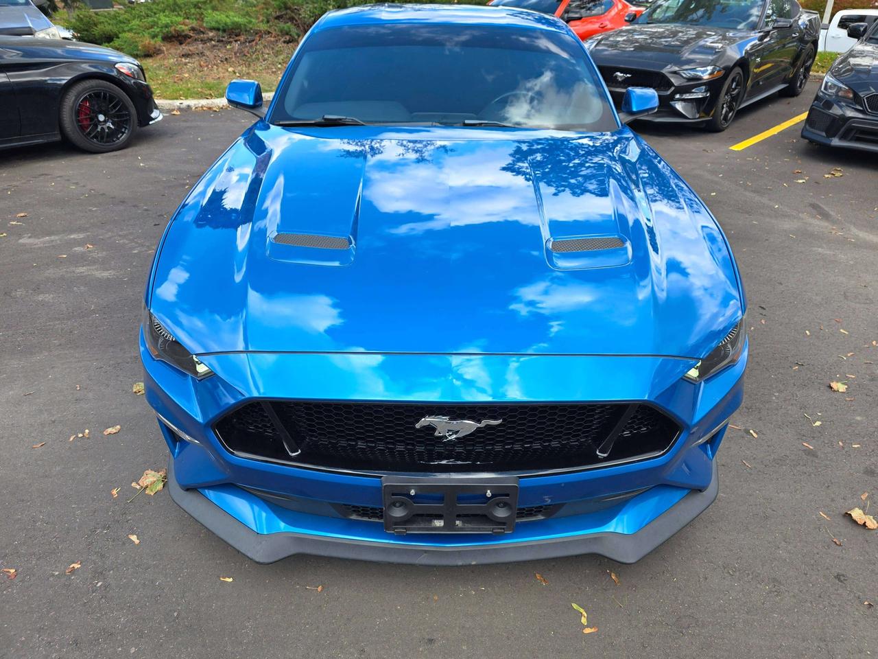 2019 Ford Mustang Performance Pack / Manual / No Accidents Photo