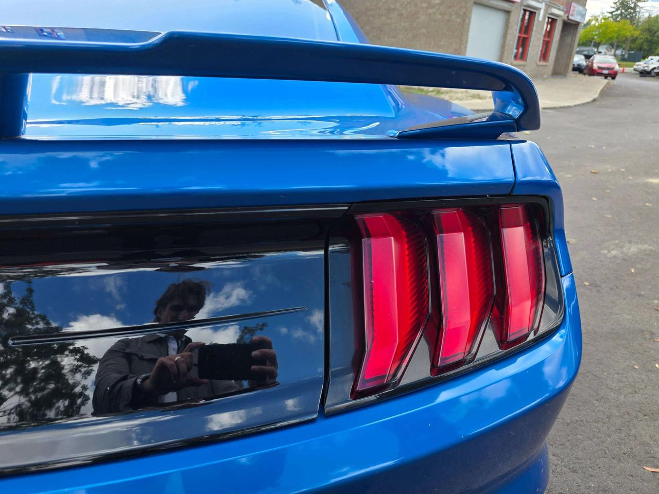 2019 Ford Mustang Performance Pack / Manual / No Accidents Photo