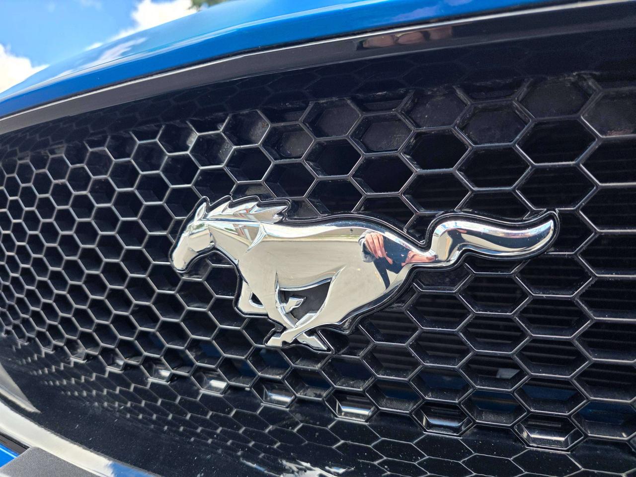 2019 Ford Mustang Performance Pack / Manual / No Accidents Photo
