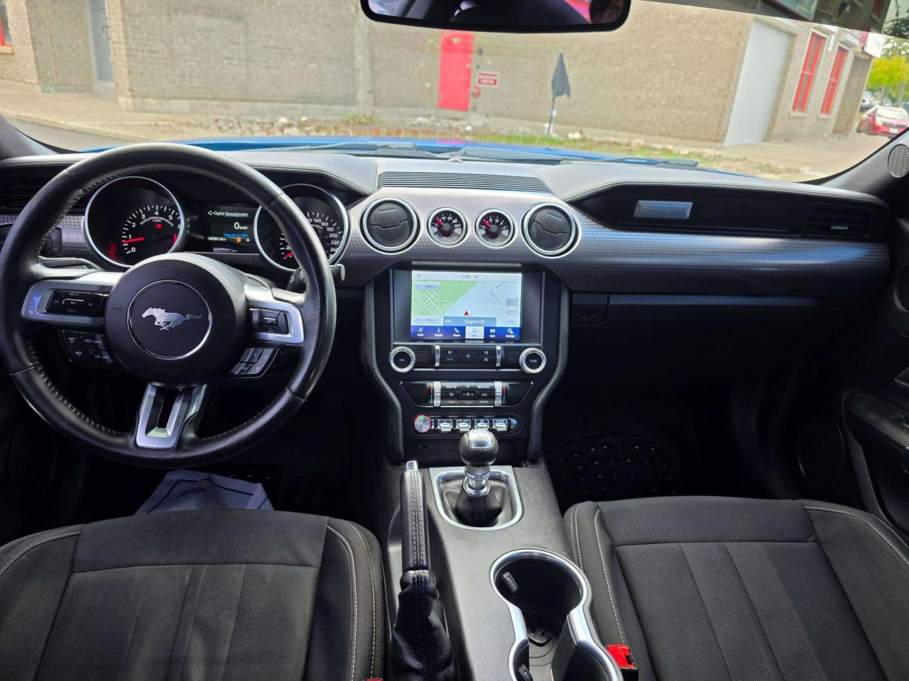 2019 Ford Mustang Performance Pack / Manual / No Accidents Photo