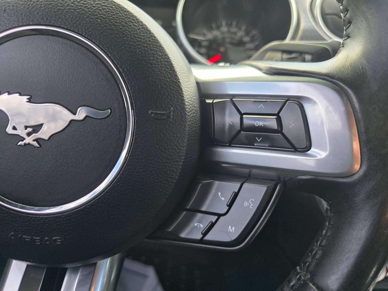 2019 Ford Mustang Performance Pack / Manual / No Accidents Photo