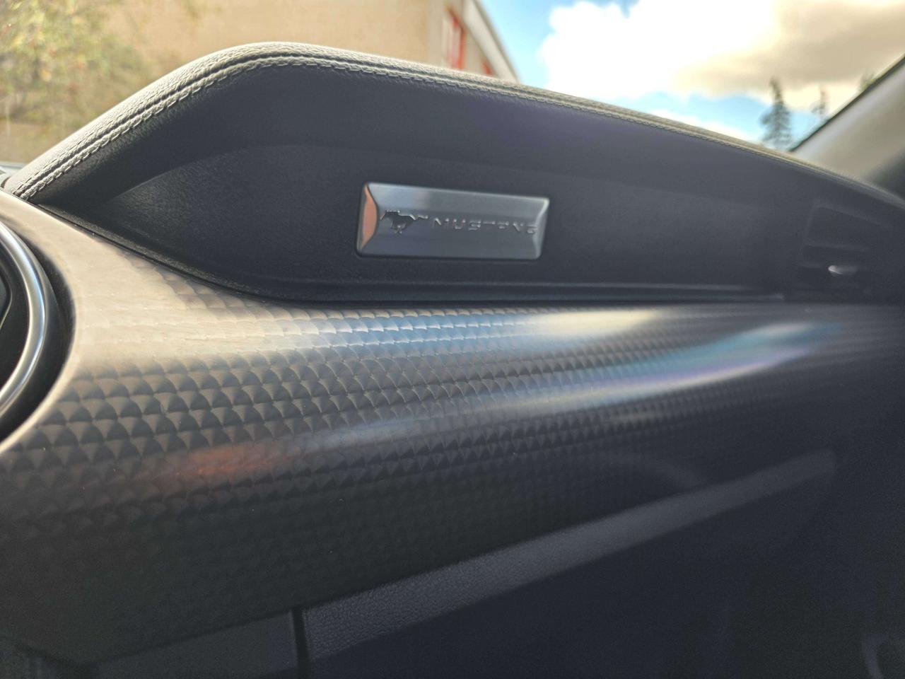 2019 Ford Mustang Performance Pack / Manual / No Accidents Photo