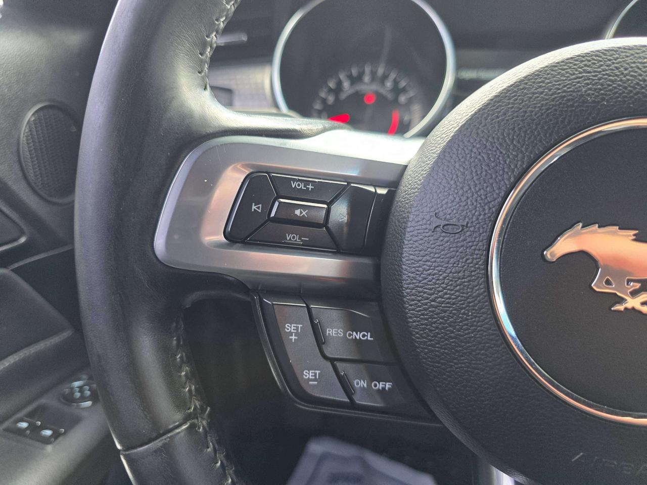 2019 Ford Mustang Performance Pack / Manual / No Accidents Photo