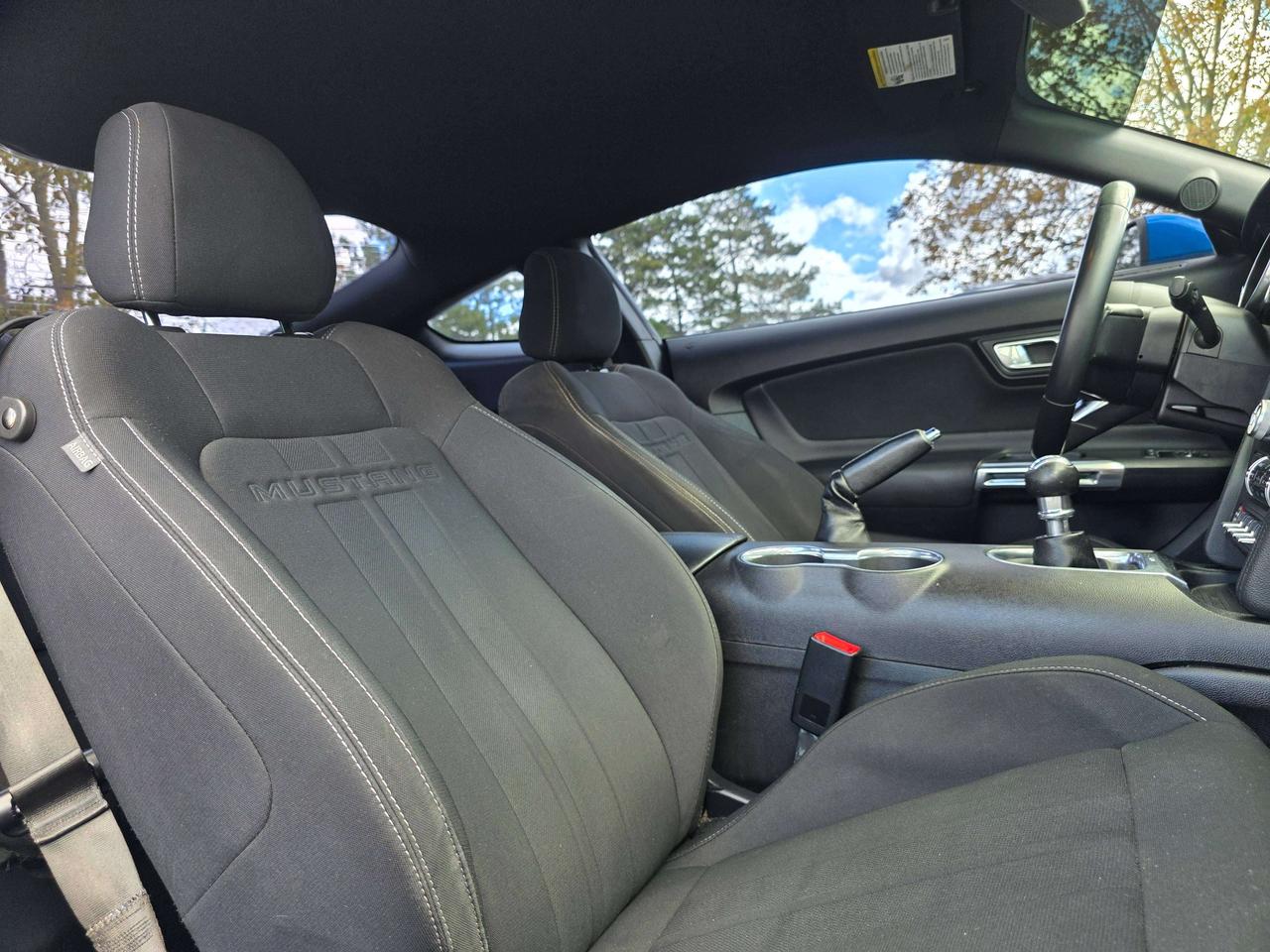 2019 Ford Mustang Performance Pack / Manual / No Accidents Photo