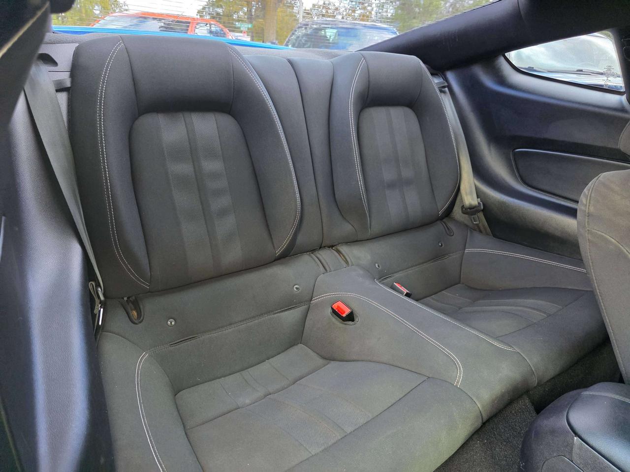 2019 Ford Mustang Performance Pack / Manual / No Accidents Photo