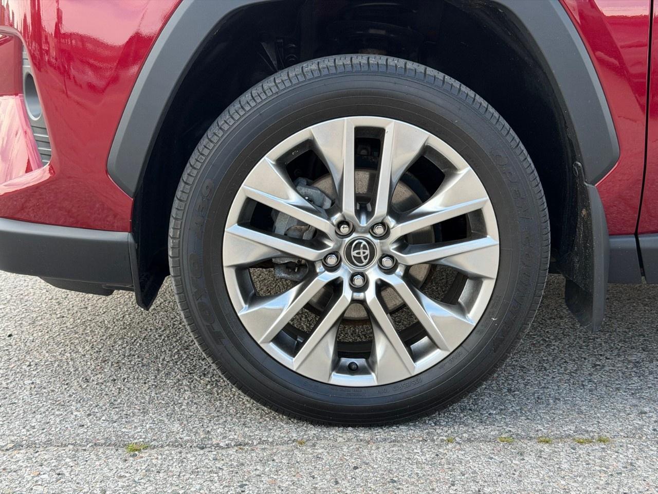 2019 Toyota RAV4 AWD LIMITED Photo