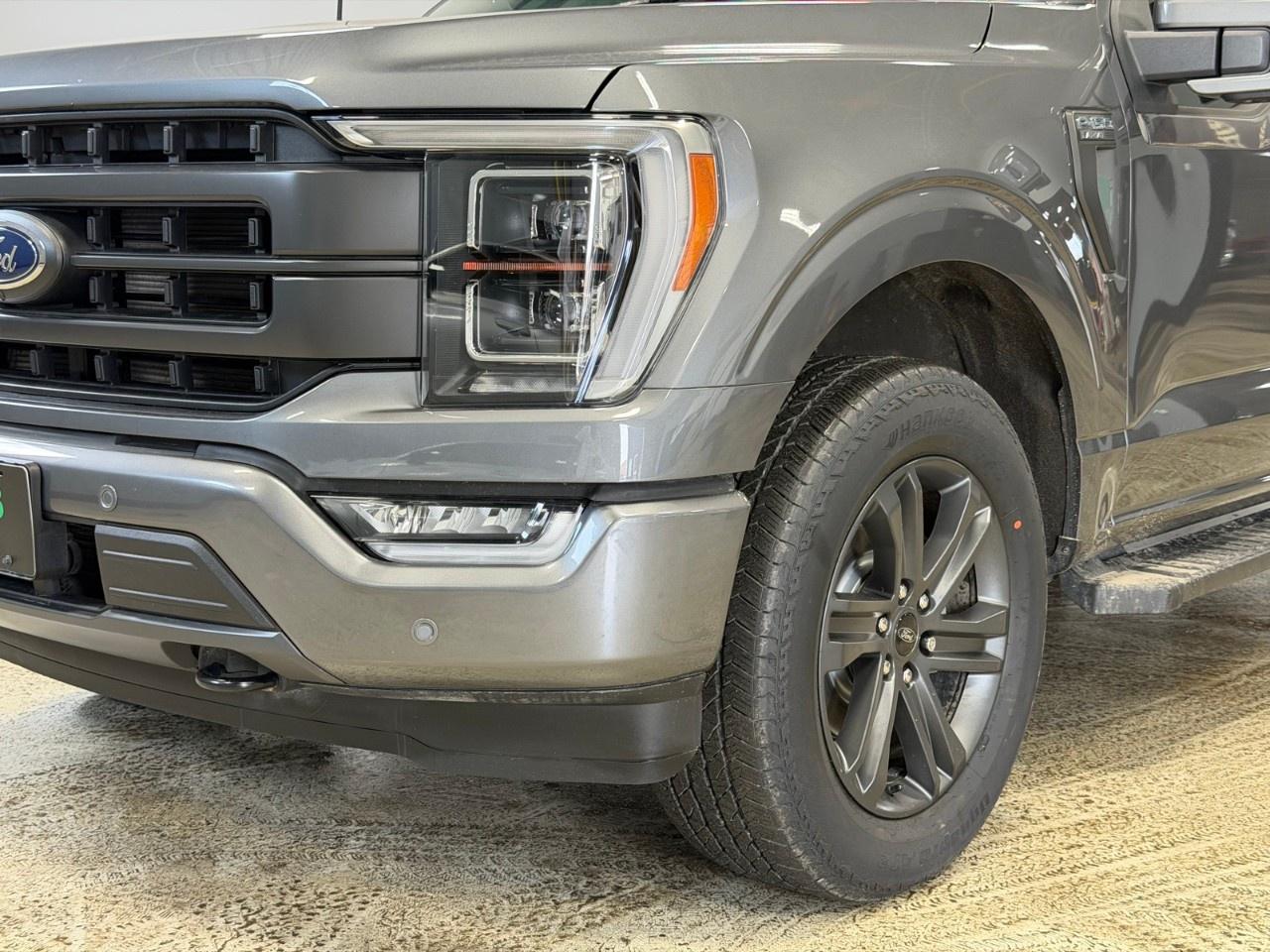 2023 Ford F-150  Photo