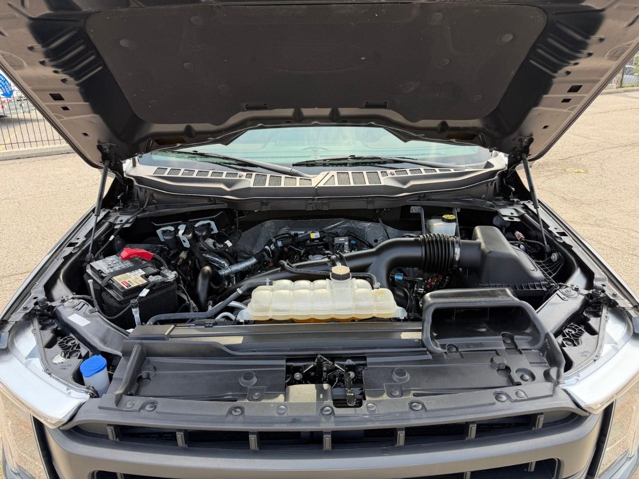 2023 Ford F-150  Photo