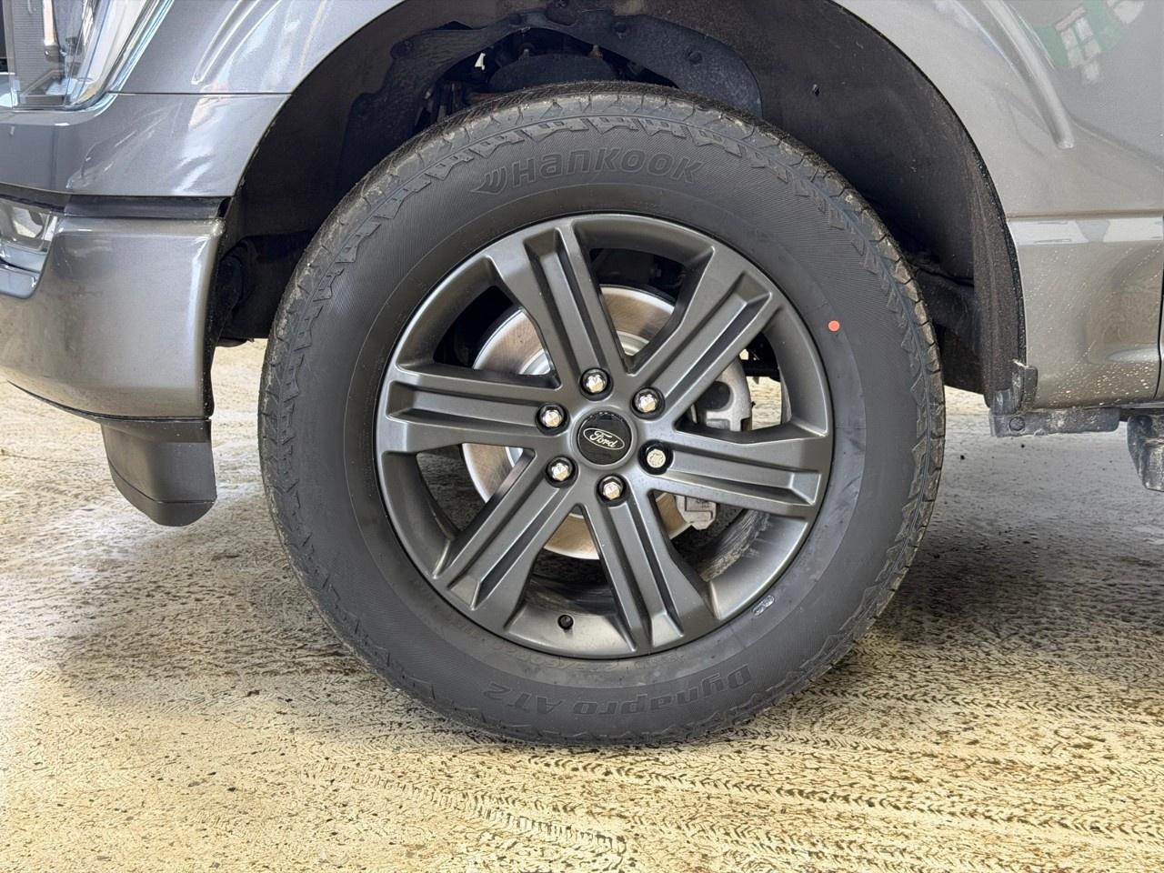 2023 Ford F-150  Photo