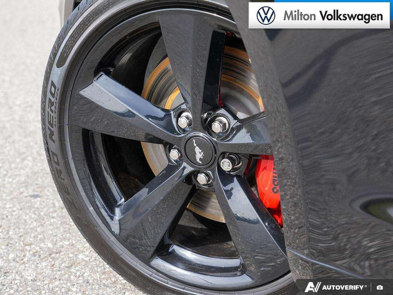 2022 Ford Mustang Coupe GT Premium 5.0L   401A   BLACK ACCENT PKG   B&O SOUND SYSTEM Photo