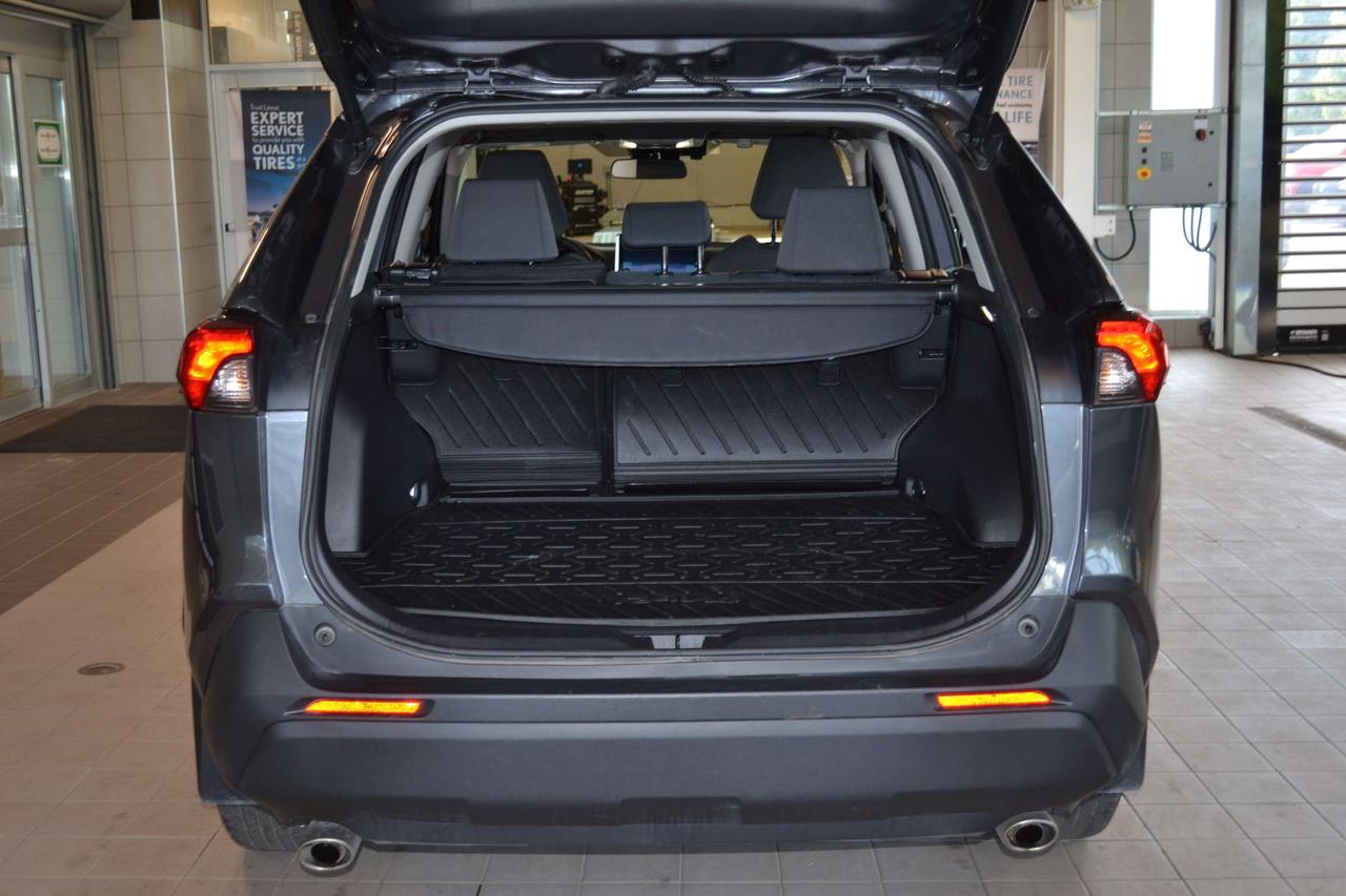 2025 Toyota RAV4 XLE Photo