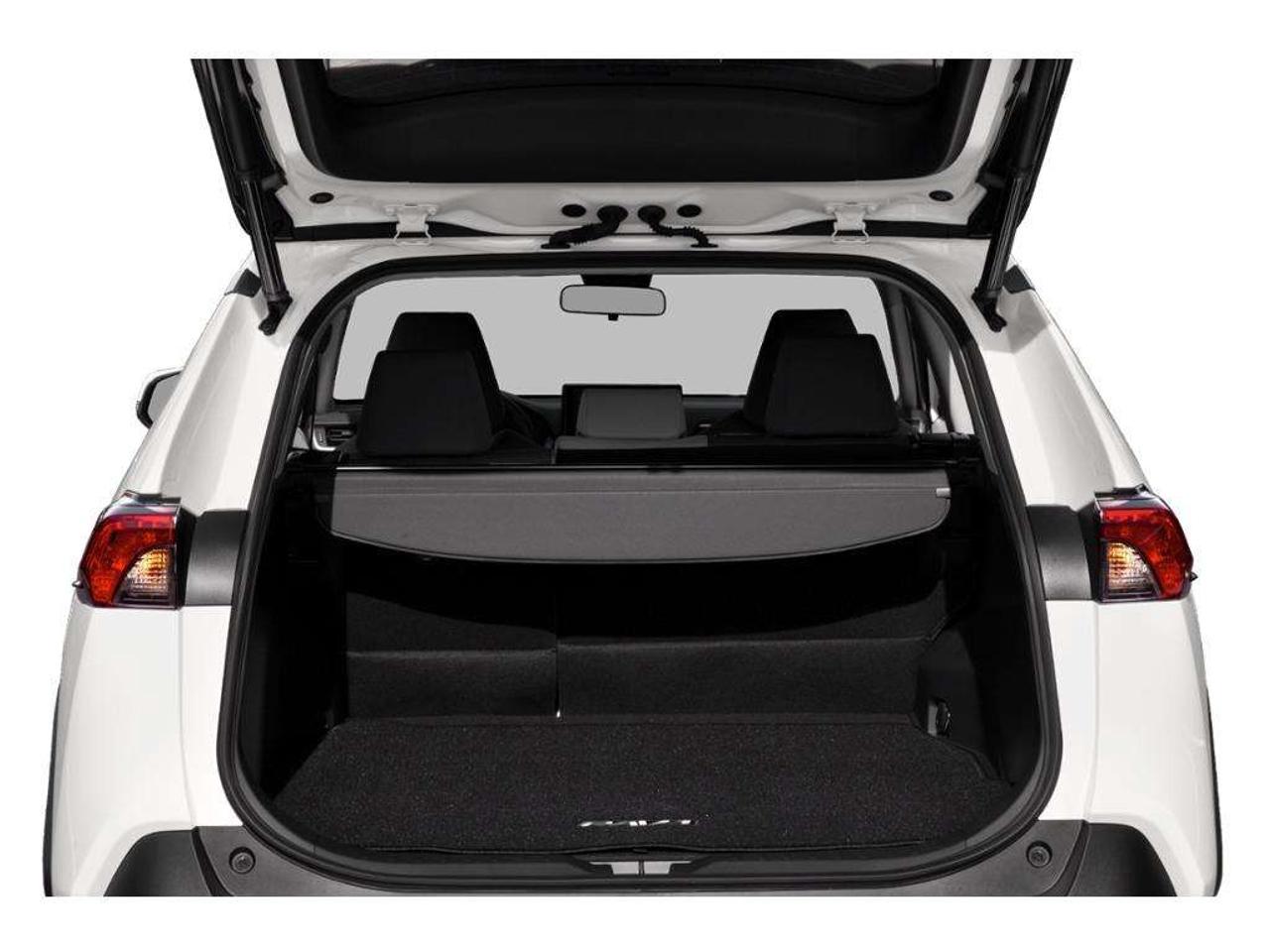 2020 Toyota RAV4 XLE Photo