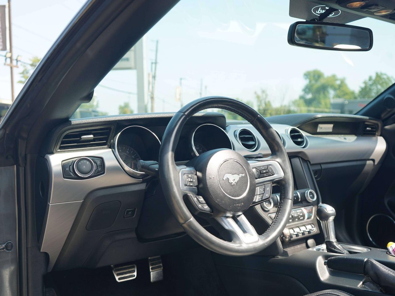 2018 Ford Mustang GT,V8,CONVERTIBLE Photo