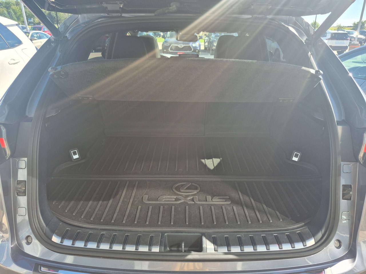 2018 Lexus NX LUXURY Photo