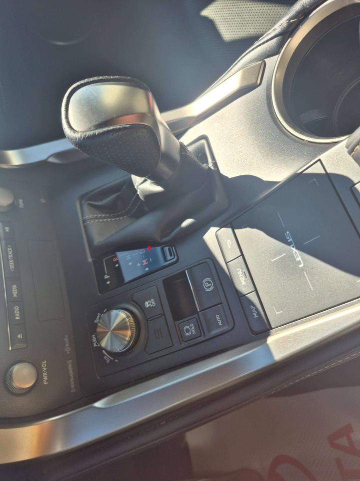 2018 Lexus NX LUXURY Photo