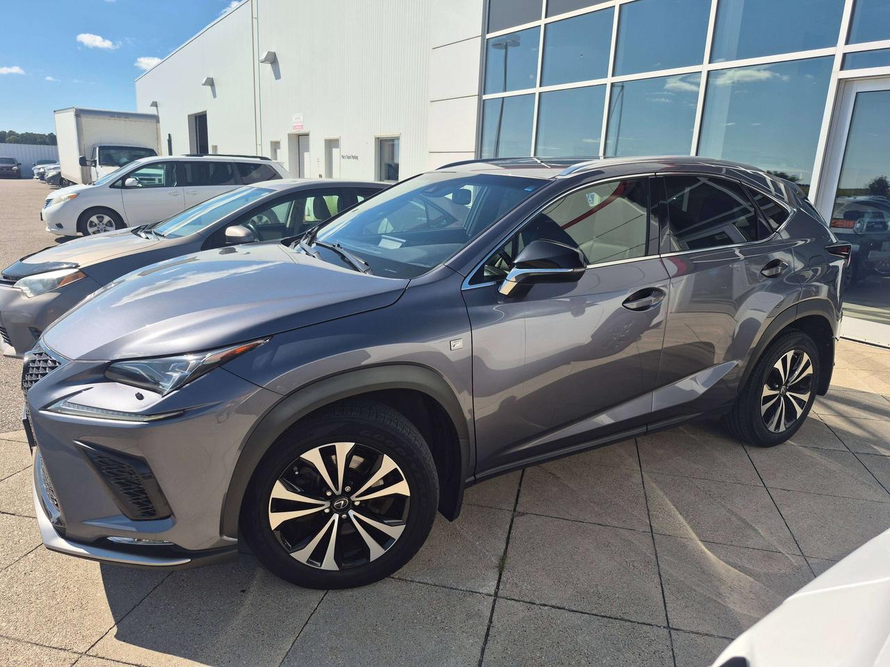 2018 Lexus NX LUXURY Photo