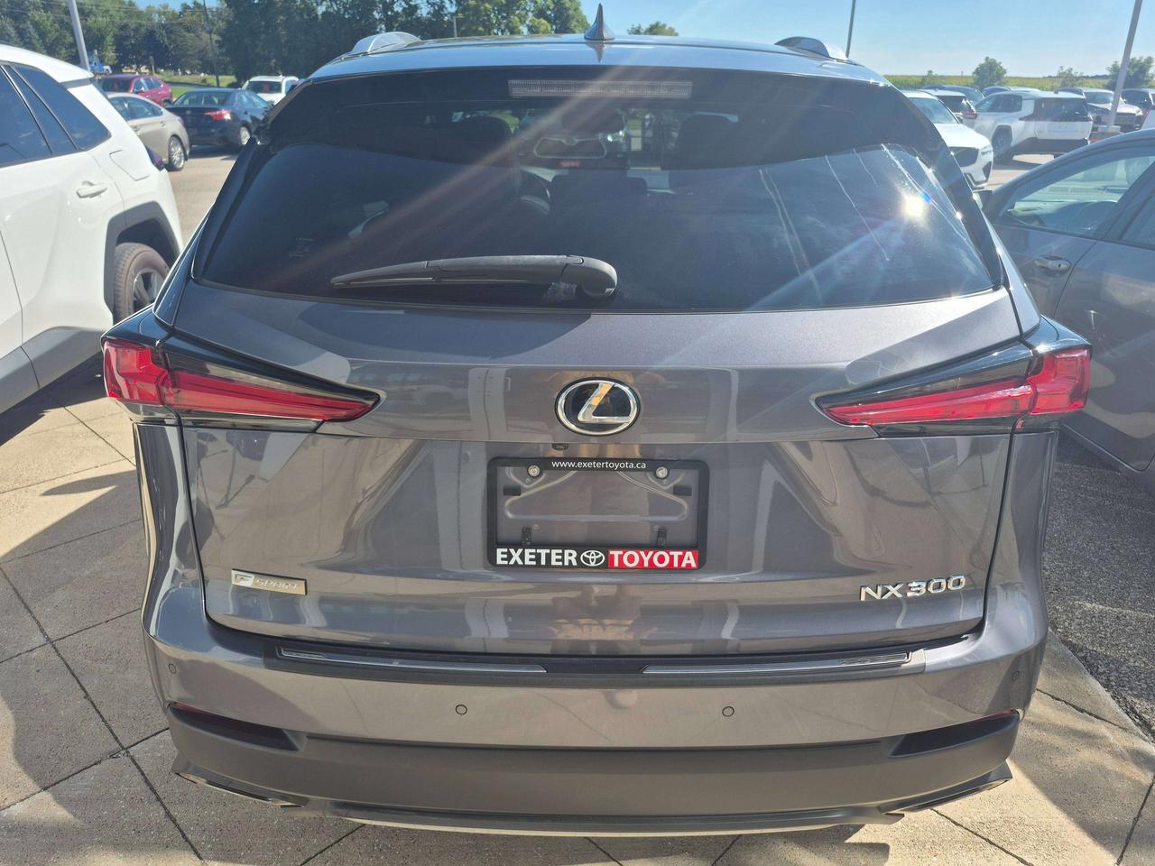 2018 Lexus NX LUXURY Photo