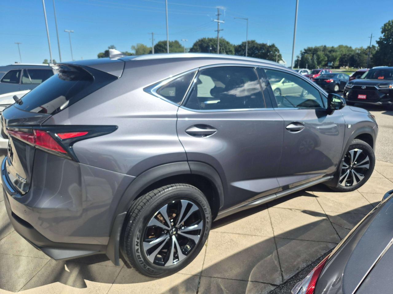 2018 Lexus NX LUXURY Photo