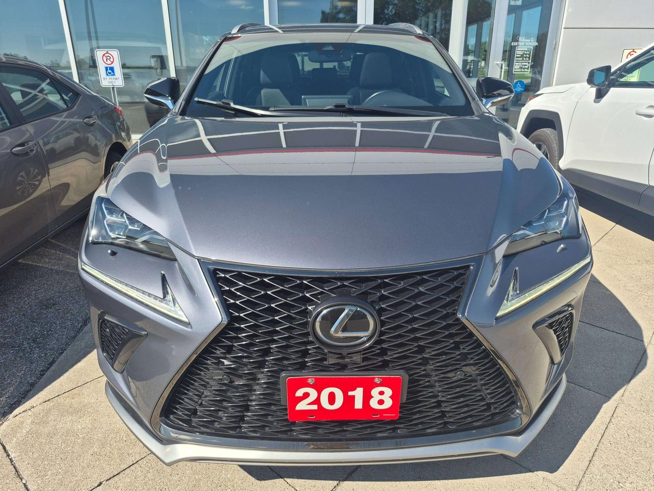 2018 Lexus NX LUXURY Photo