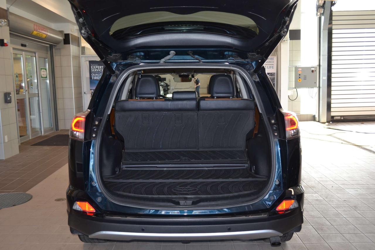 2018 Toyota RAV4 LIMITED  Photo