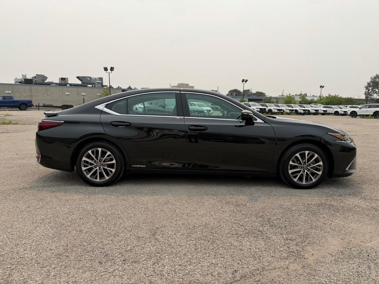 2022 Lexus ES ES 300h Auto Photo