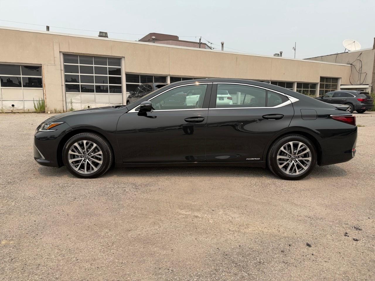 2022 Lexus ES ES 300h Auto Photo