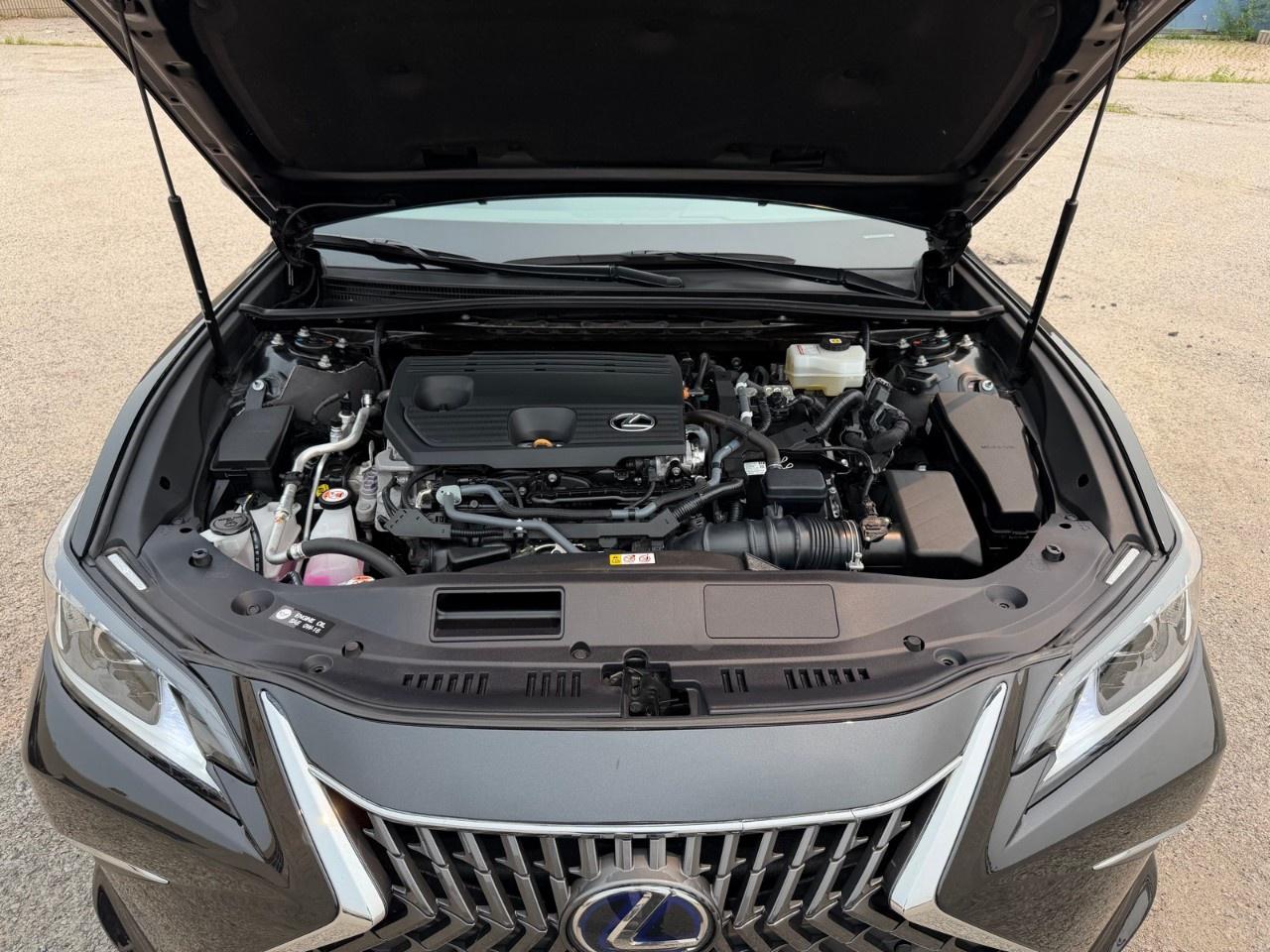 2022 Lexus ES ES 300h Auto Photo
