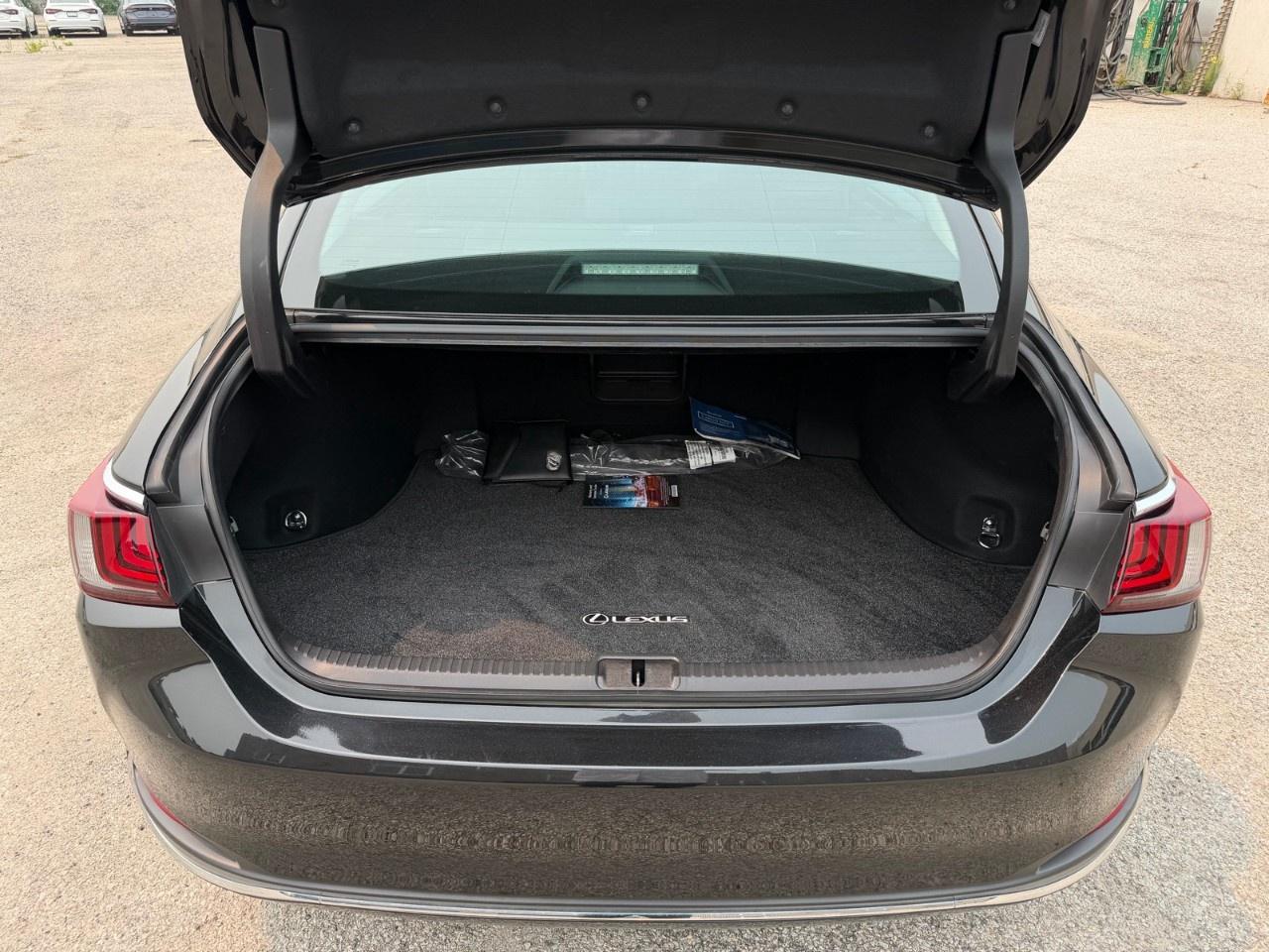 2022 Lexus ES ES 300h Auto Photo