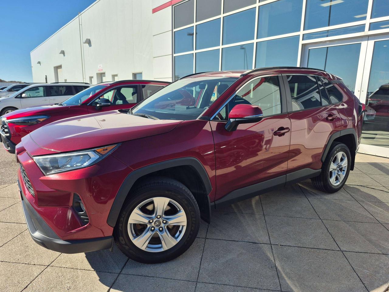 2020 Toyota RAV4 XLE AWD Photo