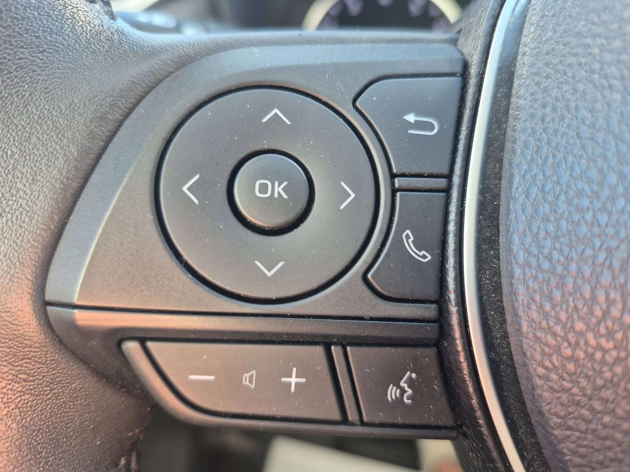 2020 Toyota RAV4 XLE AWD Photo