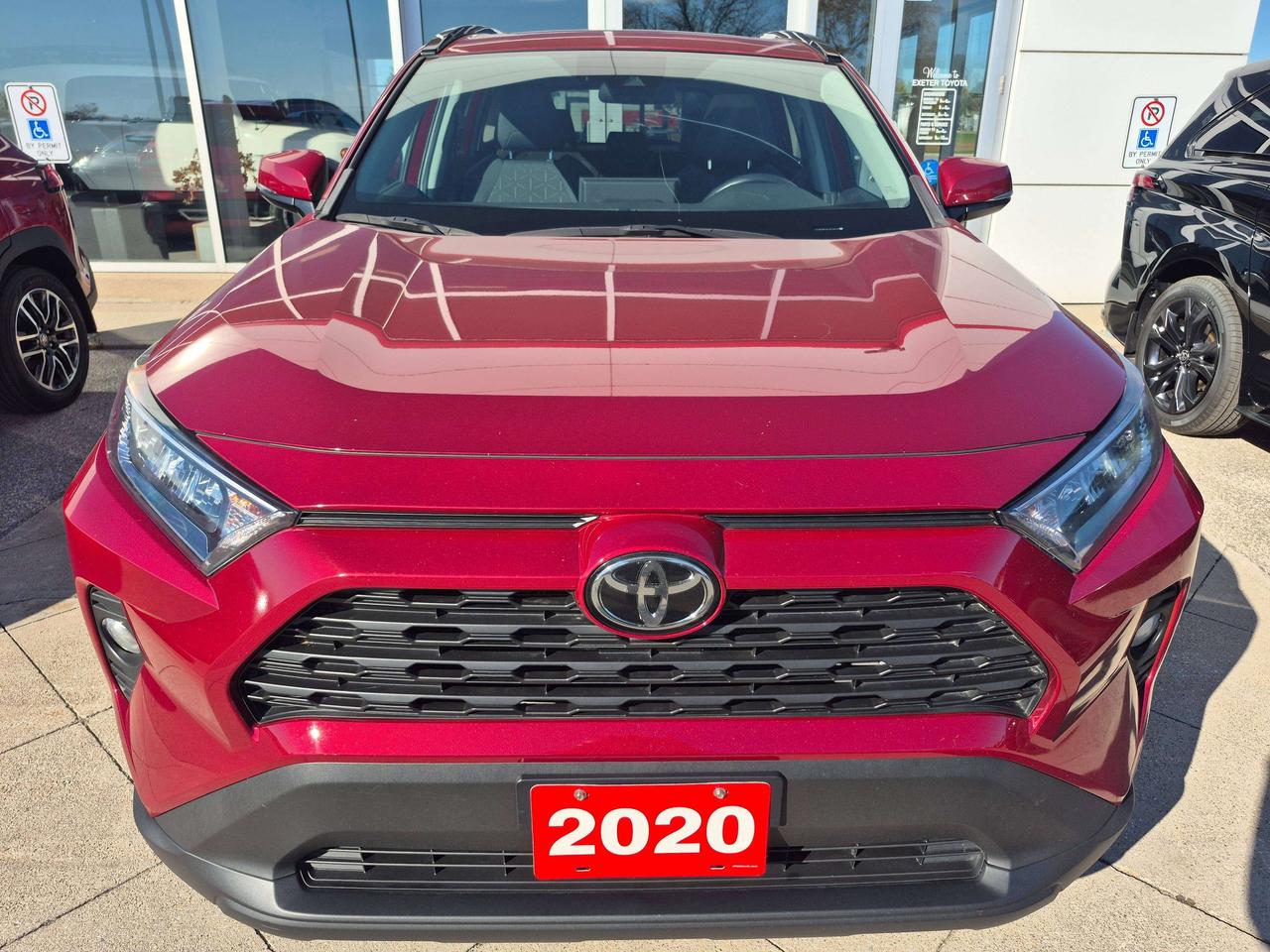 2020 Toyota RAV4 XLE AWD Photo